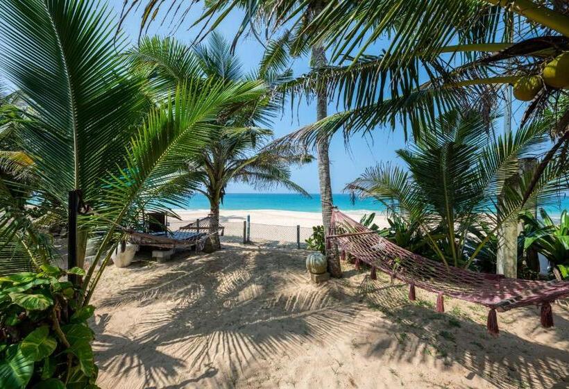 Hotel The Max Wadiya