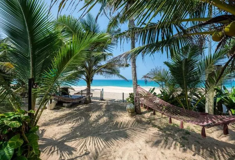 Hotelli The Max Wadiya