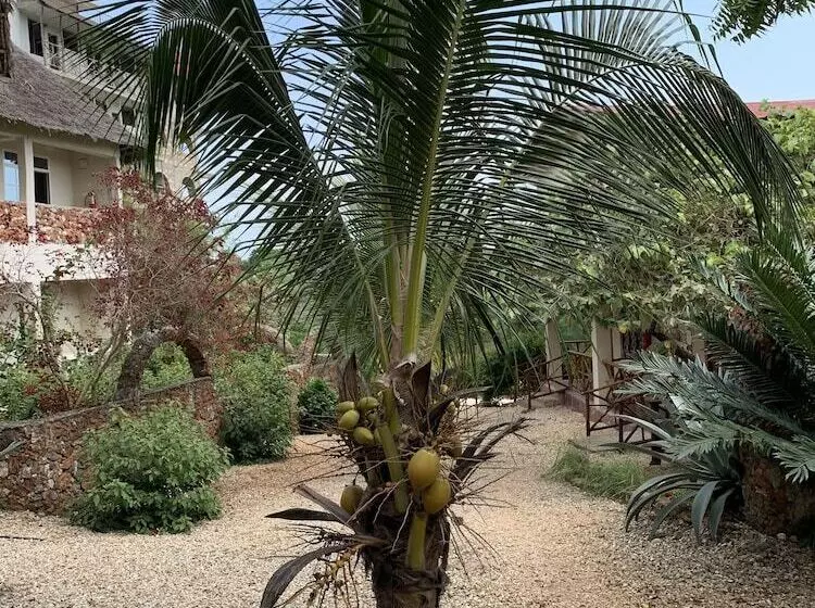 Aamiaismajoitus (B&B) Kendwa Garden's