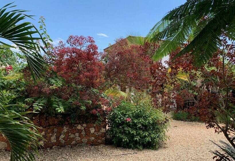 مبيت وإفطار Kendwa Garden's