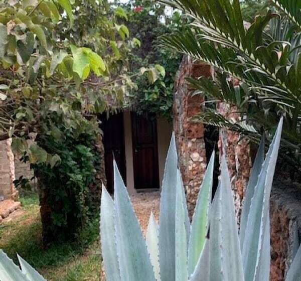 مبيت وإفطار Kendwa Garden's