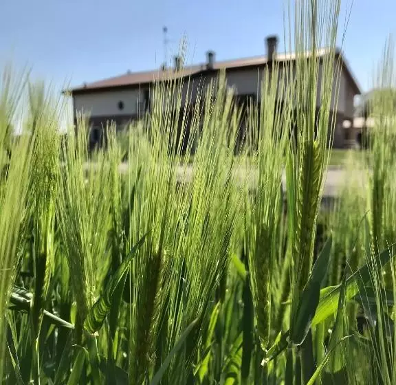 ホテル Agriturismo Casale Ai Prati