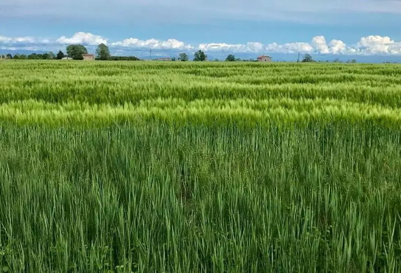 ホテル Agriturismo Casale Ai Prati