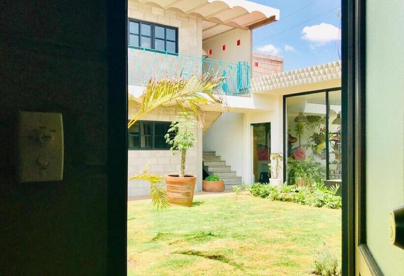 فندق Cálido Cosmos