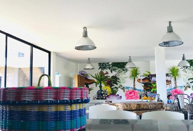 فندق Cálido Cosmos