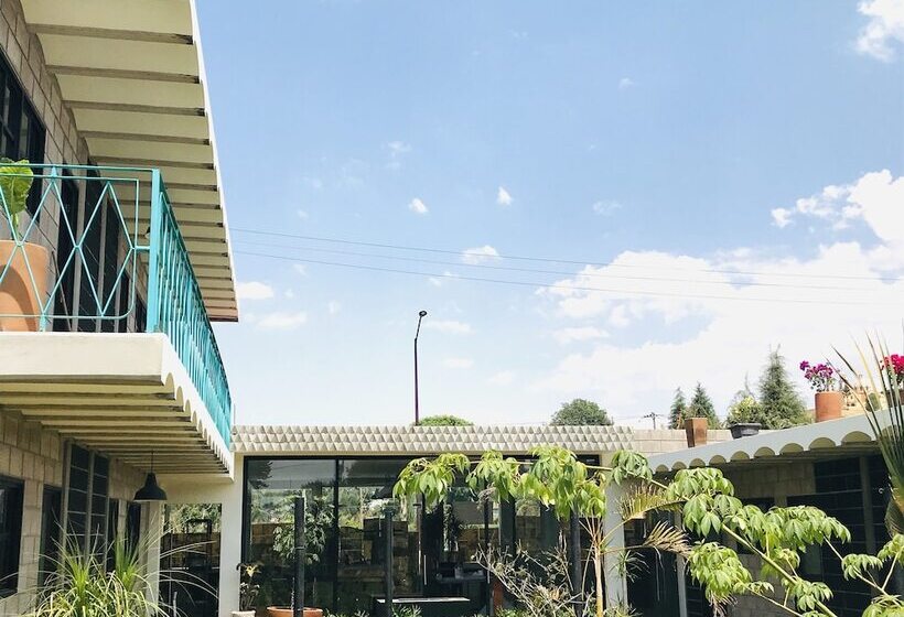 فندق Cálido Cosmos