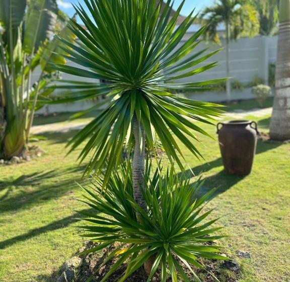 Pineale Villas, Resort And Spa