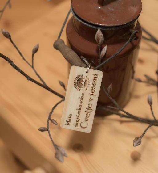 پانسیون Brunarica