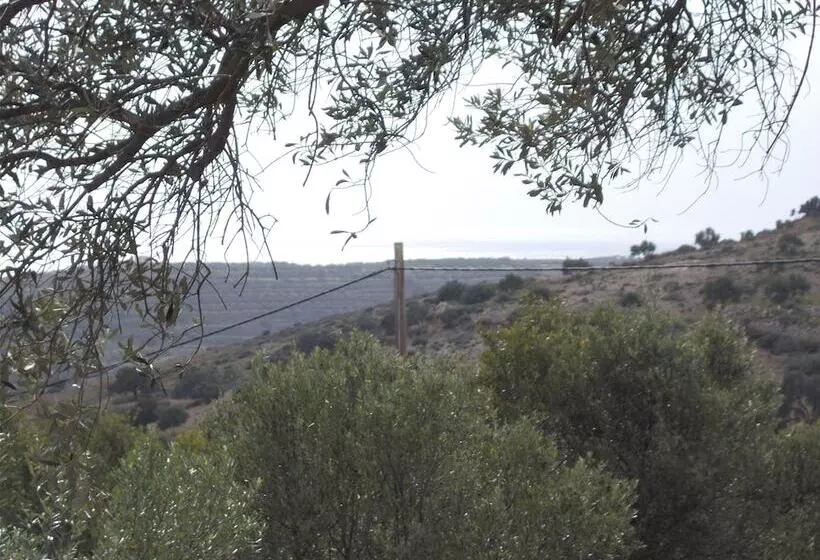 پانسیون To Spiti Tou Papa Sto Vouno