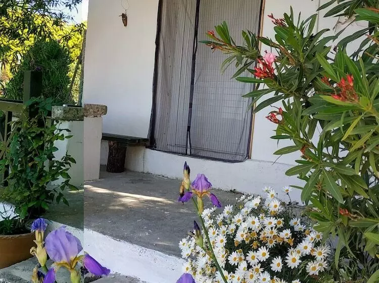 پانسیون To Spiti Tou Papa Sto Vouno