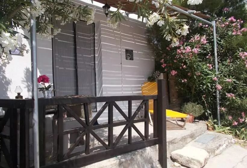 پانسیون To Spiti Tou Papa Sto Vouno