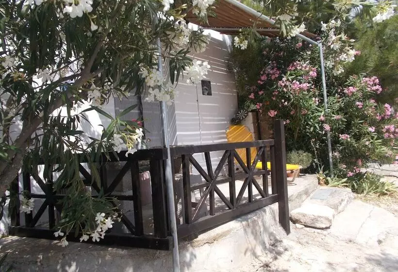 پانسیون To Spiti Tou Papa Sto Vouno