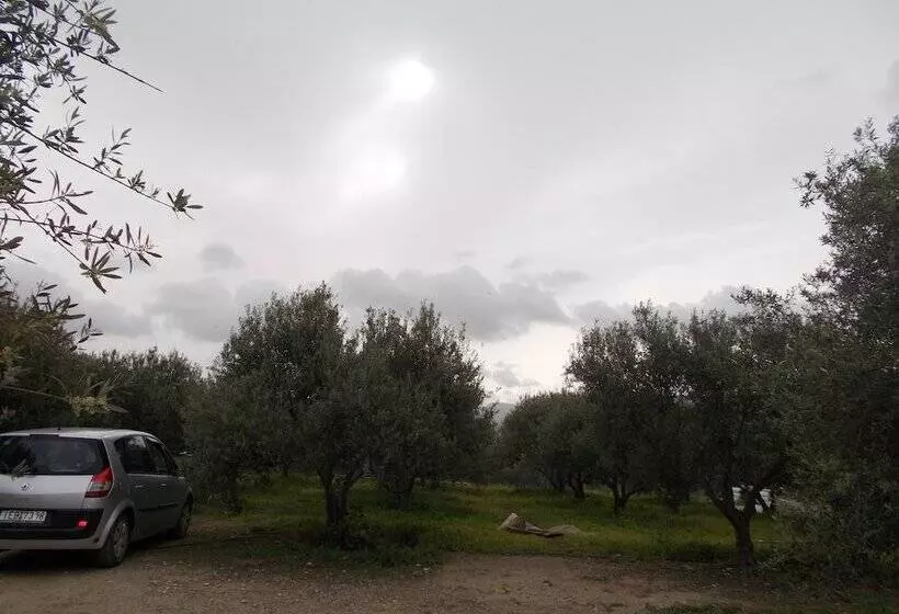 پانسیون To Spiti Tou Papa Sto Vouno