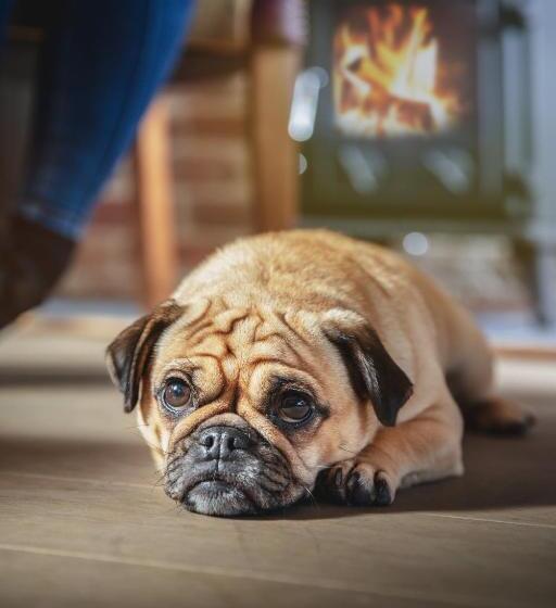 הוסטל Rock Point Inn