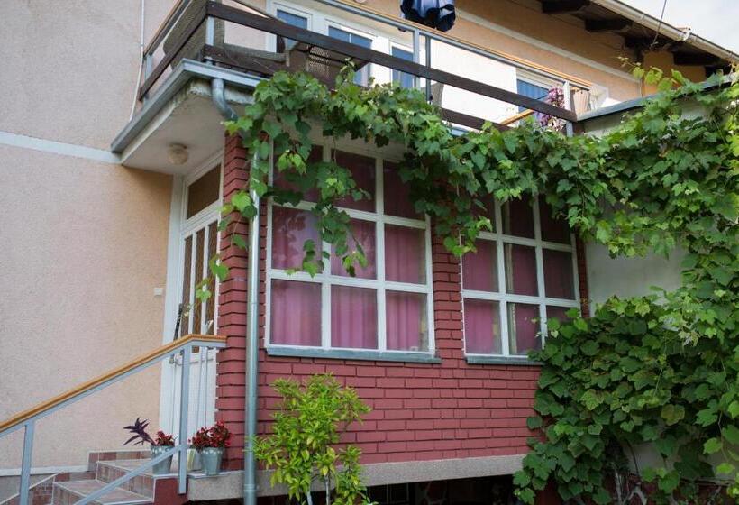 پانسیون Apartman Nisa