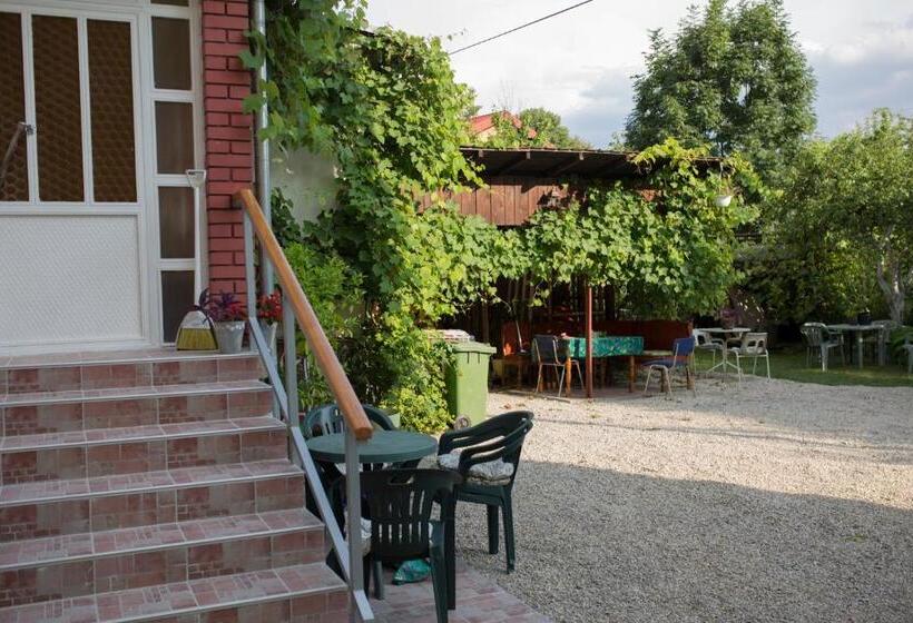 پانسیون Apartman Nisa