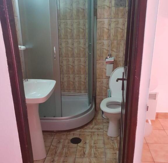 פנסיון Vila Efor