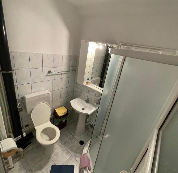 פנסיון Vila Efor