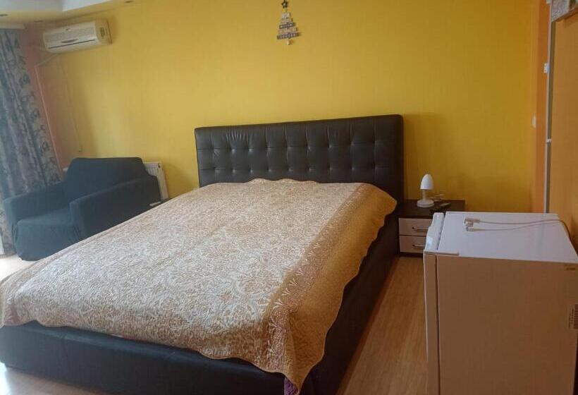 פנסיון Vila Efor