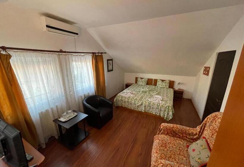 פנסיון Vila Efor