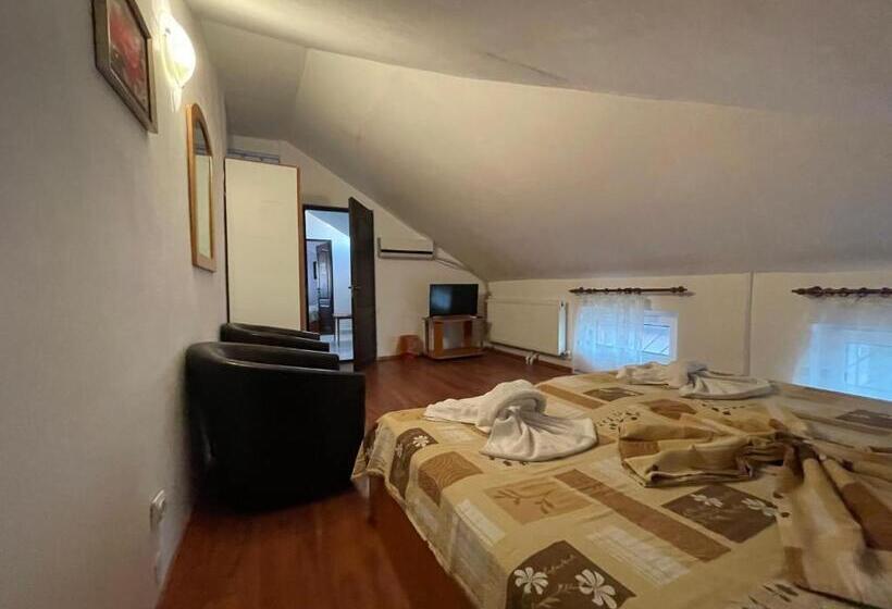 פנסיון Vila Efor