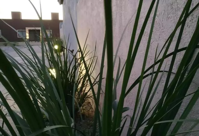 Ayres De Merlo Aparts