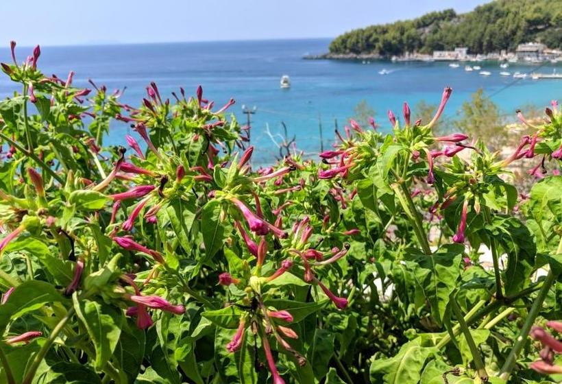 ホテル Fane S Apartments