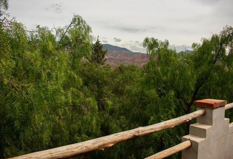 פנסיון La Casa De Violeta