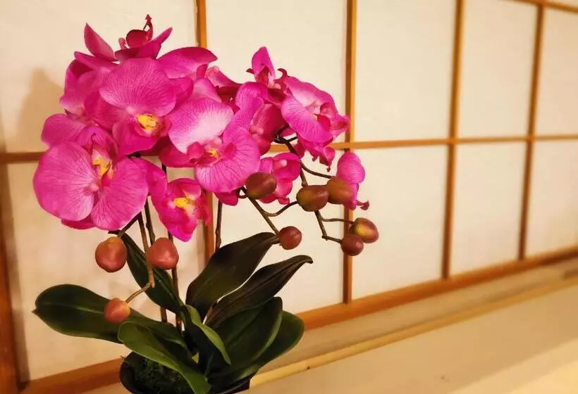 ペンション Opopo Home 竜宮店
