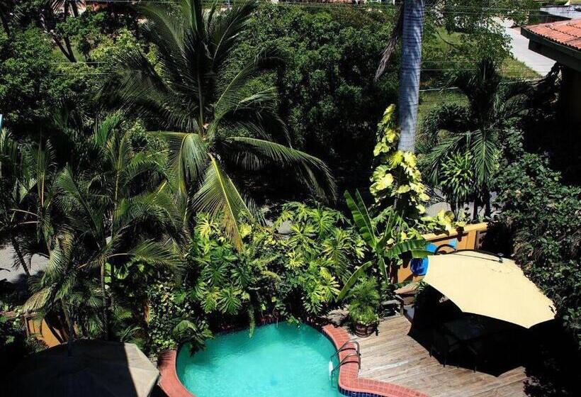 Aparthotel La Cordillera