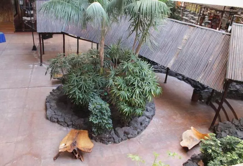 هتل Beatriz Playa & Spa