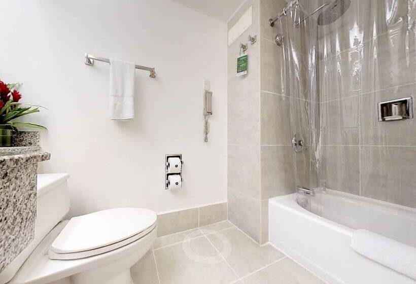 هتل Estelar Altamira