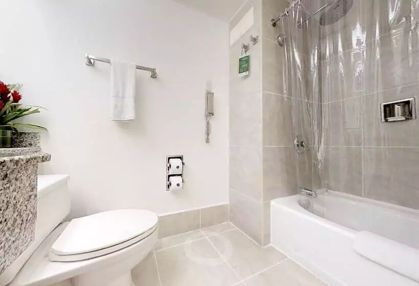 Отель Estelar Altamira