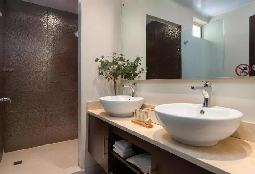 هتل Hodelpa Caribe Colonial