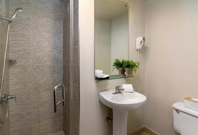 هتل Hodelpa Caribe Colonial