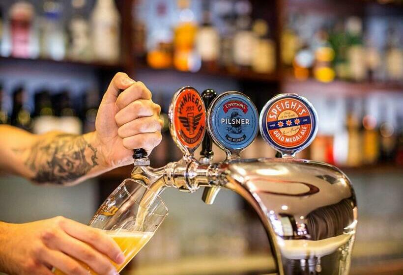 酒店 Ibis Wellington