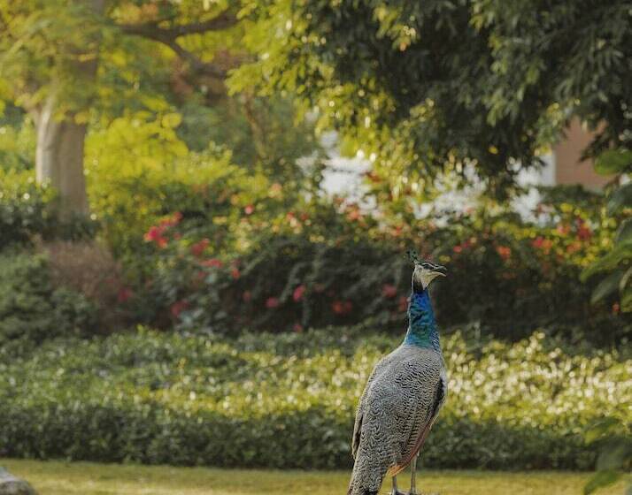 Отель Jumeirah Emirates Towers Dubai