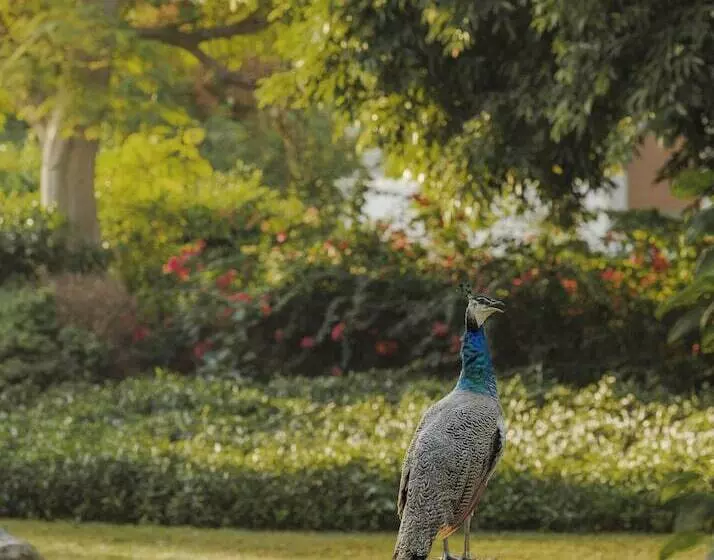 هتل Jumeirah Emirates Towers Dubai