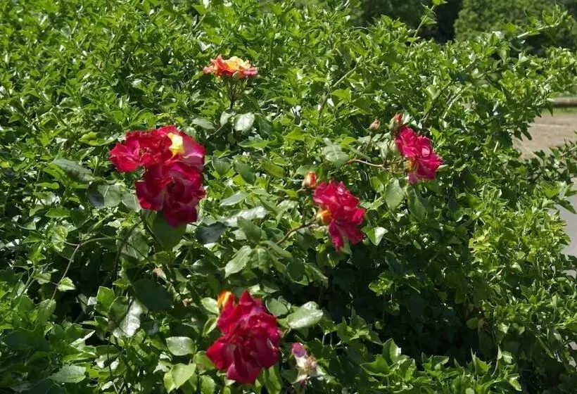 هتل روستایی Aldea Del Trasgu