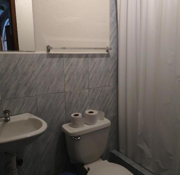 旅馆 Hostal Chimenea