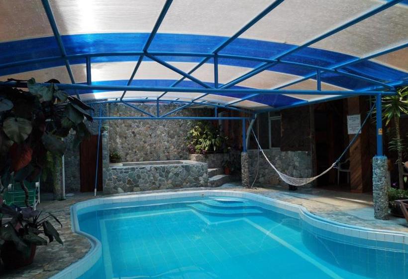 旅馆 Hostal Chimenea