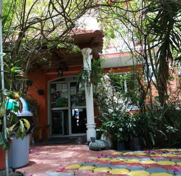 旅馆 Hostal Chimenea