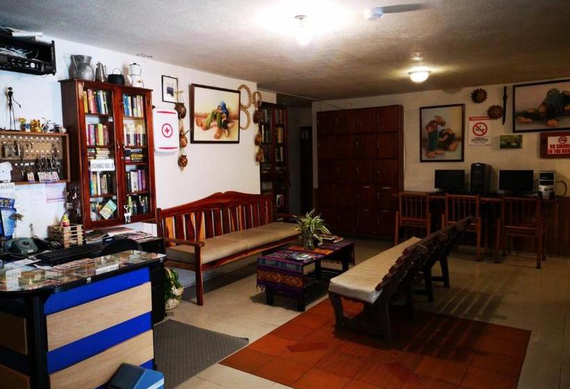 旅馆 Hostal Chimenea