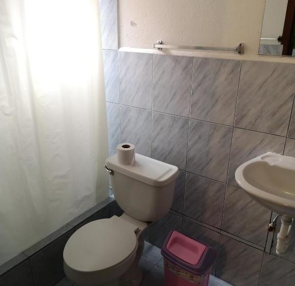 旅馆 Hostal Chimenea