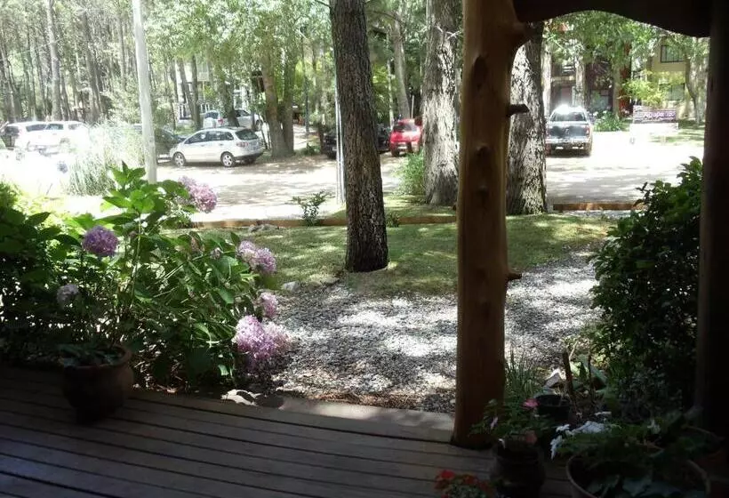 هاستل Patagonia Playa Suites