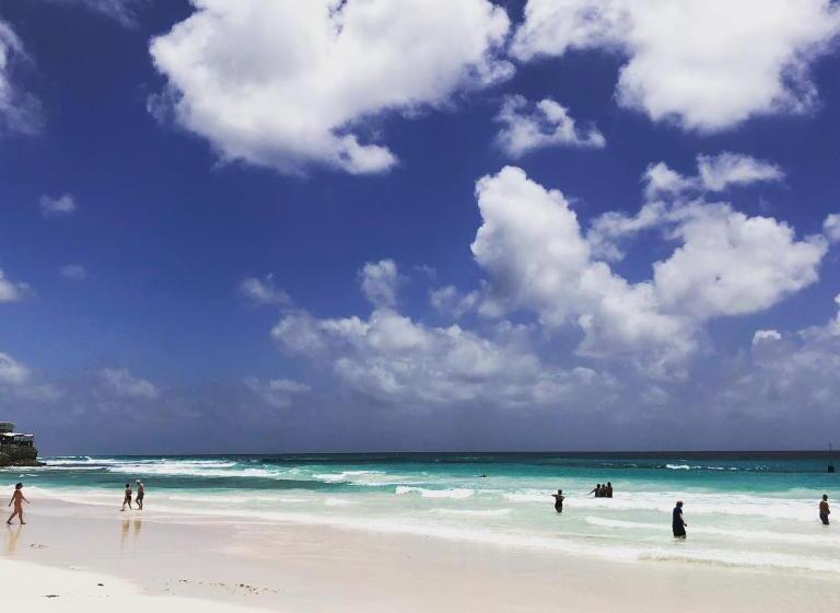 Brownes Condominium 1