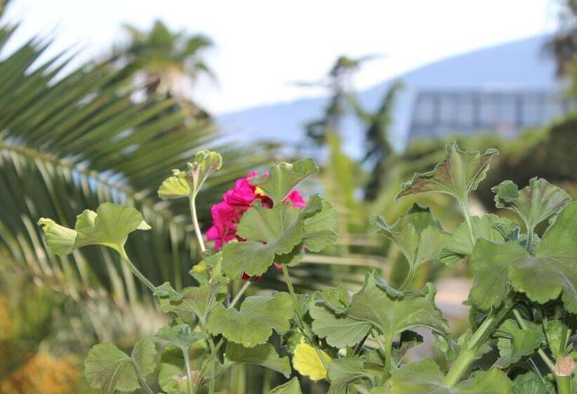 پانسیون Apartmani I Sobe Goca