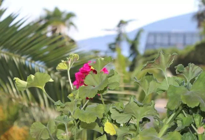 Majatalo Apartmani I Sobe Goca