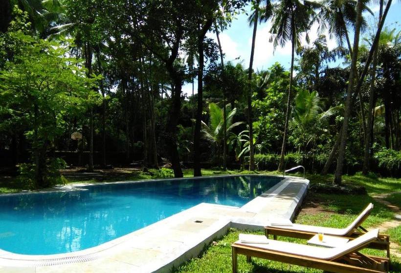 פנסיון Botanique Goa