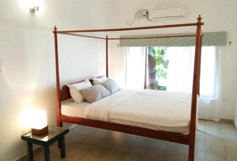 פנסיון Botanique Goa